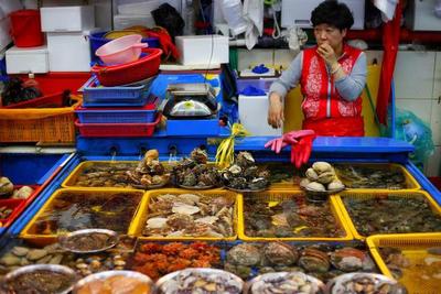 “魚去人空” 韓國海鮮市場遇冷，漁民憂心“飯碗”不保
